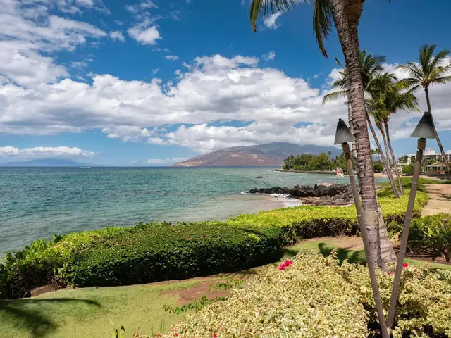 Listing Image for 2142 Iliili Rd 304 44 of 50