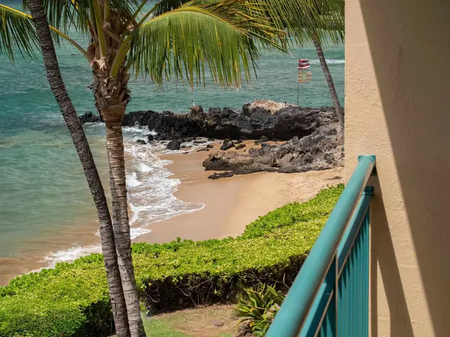 Listing Image for 2142 Iliili Rd 304 49 of 50