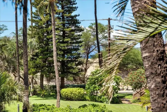Listing Image for 679 S Kihei Rd C206 22 of 42