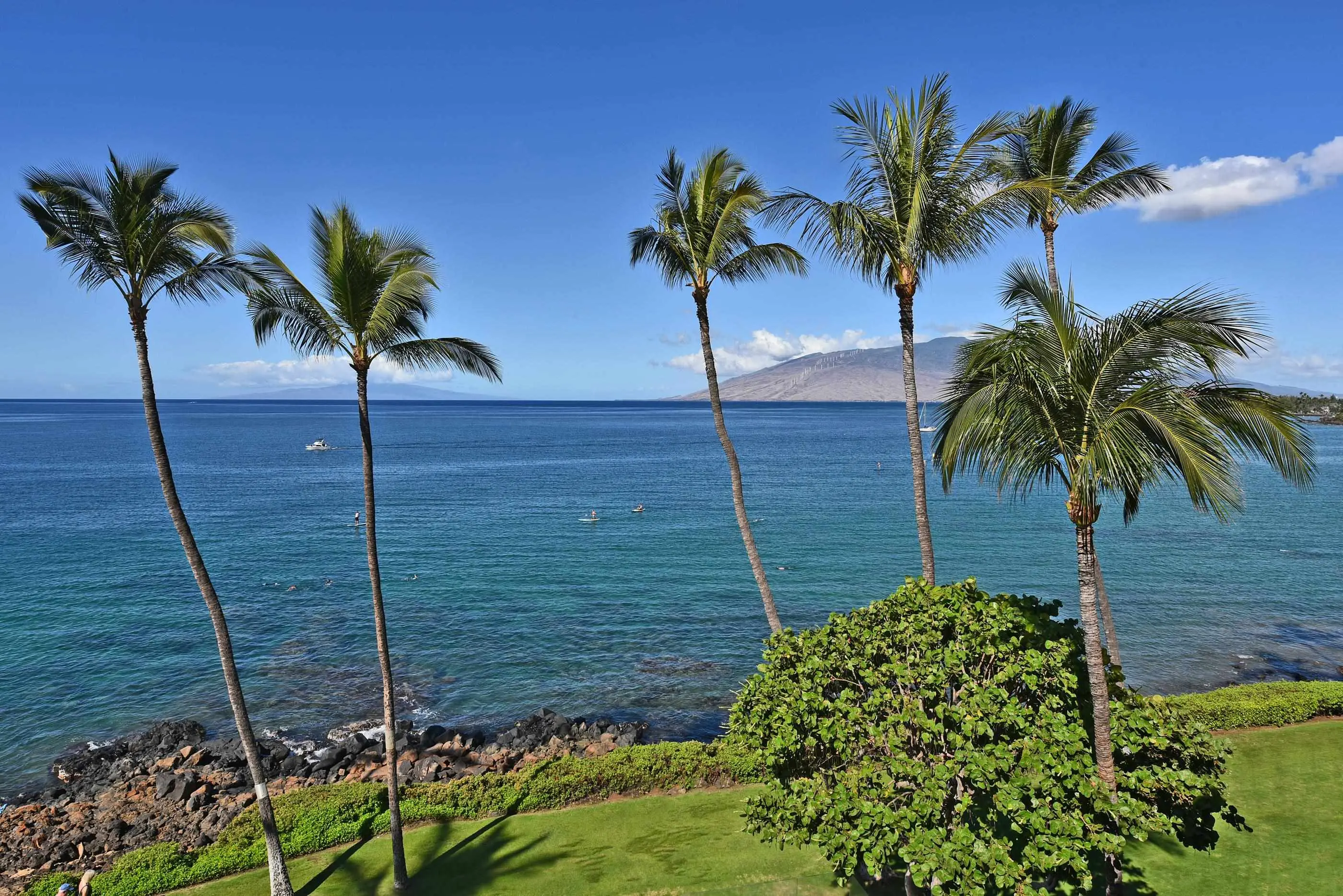 Photo of Listing #398752