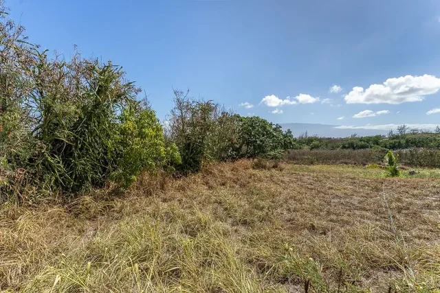 Listing Image for 0 Malaihi Rd 14 of 29