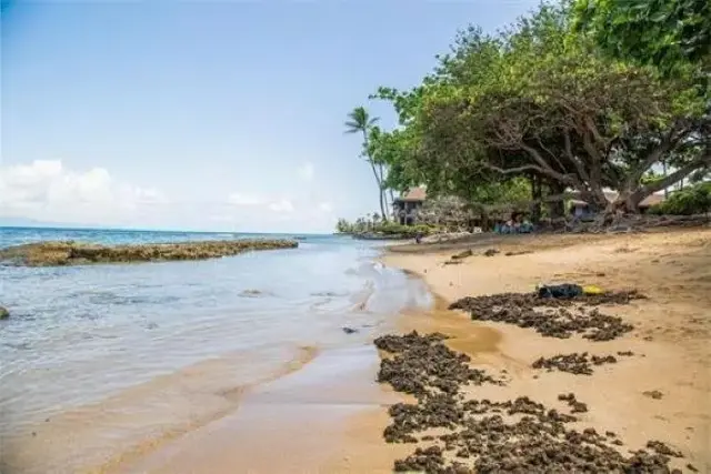 Listing Image for 3676 Lower Honoapiilani Rd G304 5 of 6