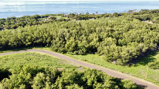 Listing Image for 814 Honoapiilani Hwy 20 10 of 10