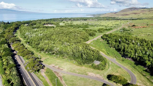 Listing Image for 814 Honoapiilani Hwy 20 2 of 10