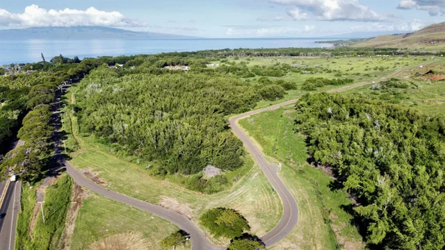 Listing Image for 814 Honoapiilani Hwy 20 3 of 10