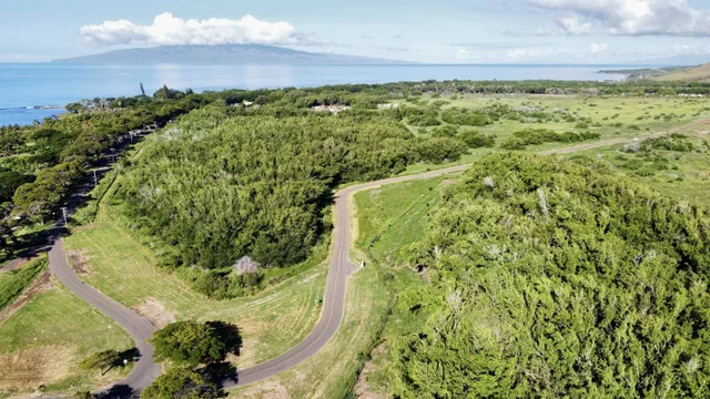 Listing Image for 814 Honoapiilani Hwy 20 5 of 10