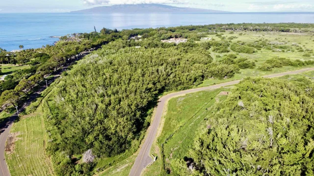 Listing Image for 814 Honoapiilani Hwy 20 6 of 10