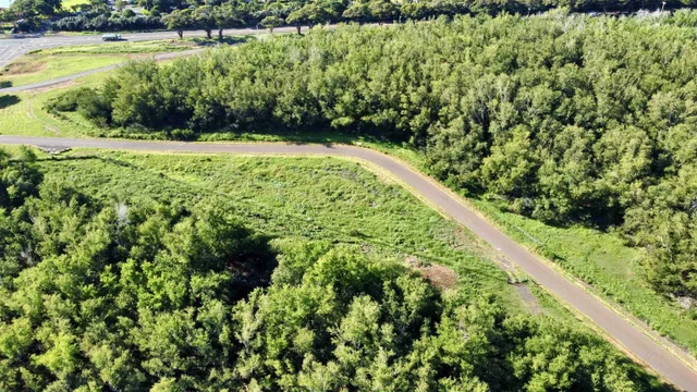 Listing Image for 814 Honoapiilani Hwy 20 7 of 10