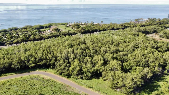 Listing Image for 814 Honoapiilani Hwy 20 8 of 10