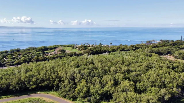 Listing Image for 814 Honoapiilani Hwy 20 9 of 10