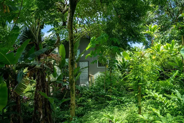 Listing Image for 760 Nahiku Rd 27 of 29