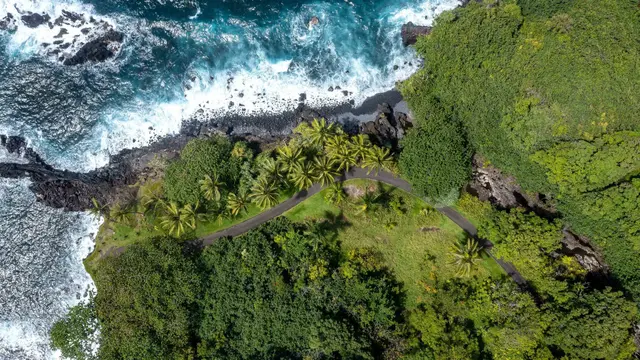 Listing Image for 760 Nahiku Rd 29 of 29