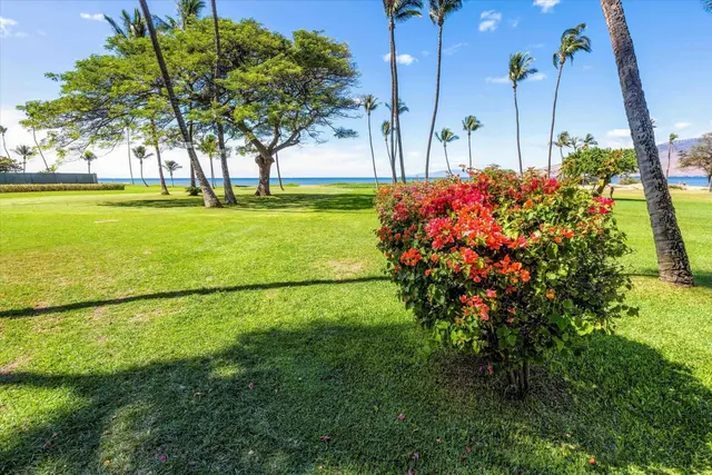 Listing Image for 998 S Kihei Rd 404 40 of 45