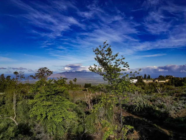 Listing Image for 0 Haleakala Hwy Unit B 3 of 12