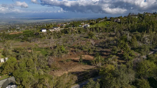 Listing Image for 0 Haleakala Hwy Unit B 6 of 12