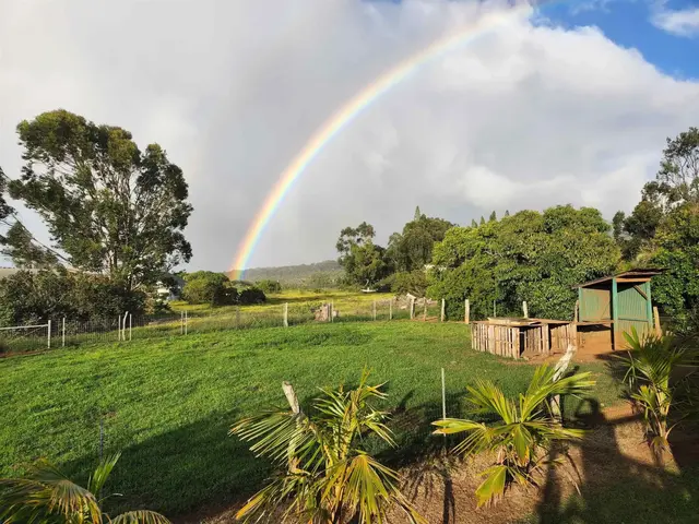 Listing Image for 2594 Puuomalei Rd 30 of 30