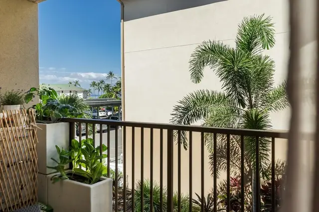 Listing Image for 45 Kanani Rd 209 31 of 39