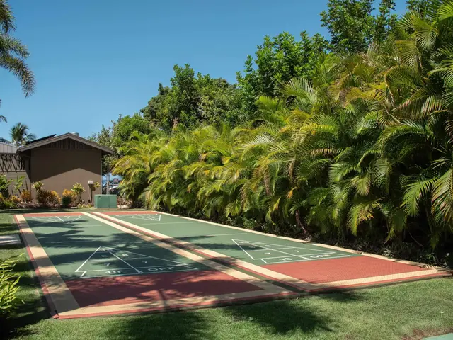 Listing Image for 3300 Wailea Alanui Dr 36d 41 of 50