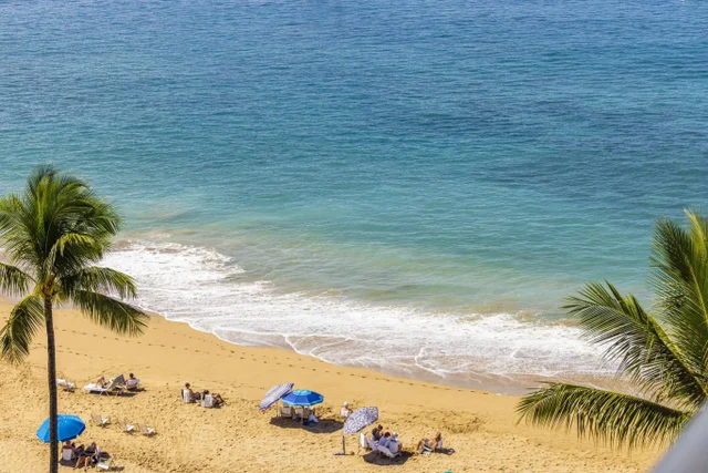 Listing Image for 2481 Kaanapali Pkwy 905 45 of 46