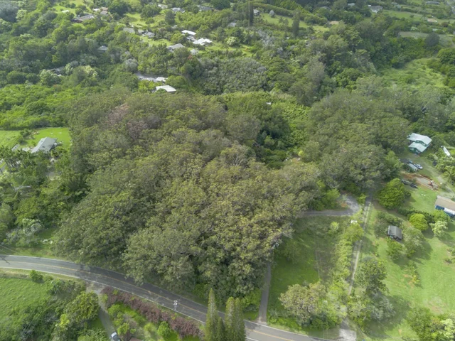 Listing Image for 1448 W Kuiaha St 15 of 25