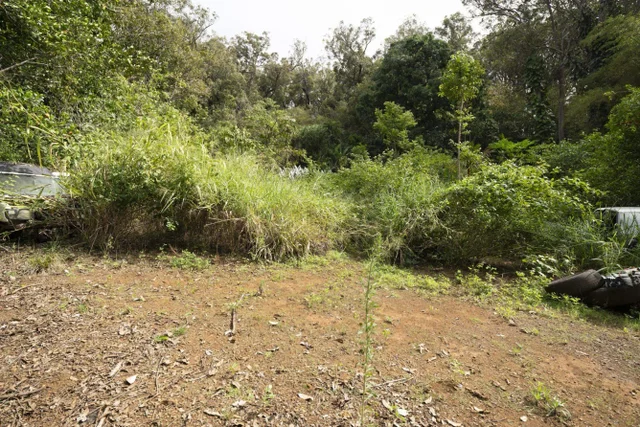 Listing Image for 1448 W Kuiaha St 17 of 25