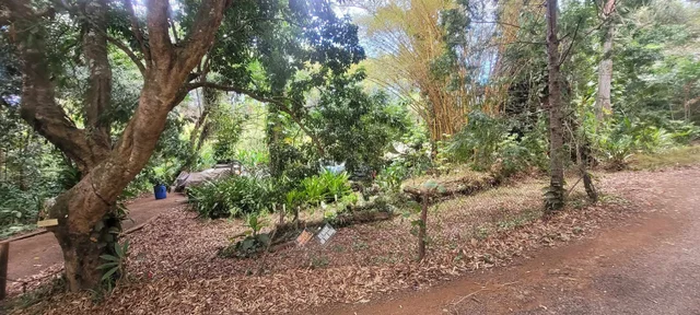 Listing Image for 1448 W Kuiaha St 2 of 25