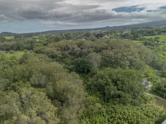 Listing Image for 1448 W Kuiaha St 24 of 25