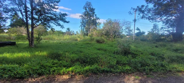 Listing Image for 1448 W Kuiaha St 4 of 25