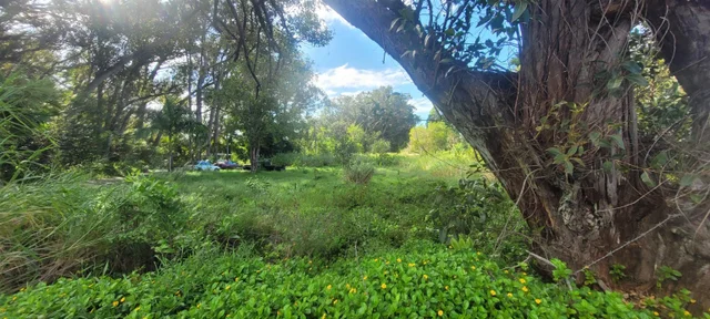 Listing Image for 1448 W Kuiaha St 5 of 25