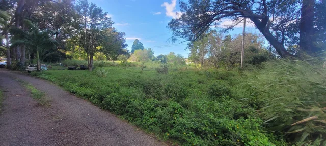 Listing Image for 1448 W Kuiaha St 7 of 25