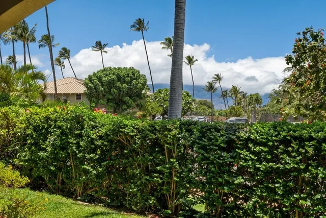 Listing Image for 44 Kanani Rd 2-102 32 of 42