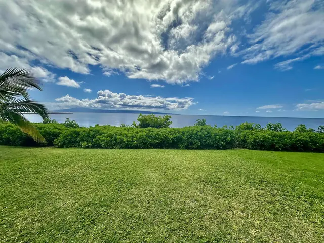 Listing Image for 1000 Kamehameha V Hwy A101 24 of 40