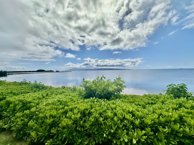 Listing Image for 1000 Kamehameha V Hwy A101 25 of 40