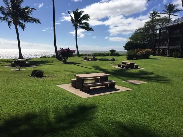Listing Image for 1000 Kamehameha V Hwy A101 32 of 40