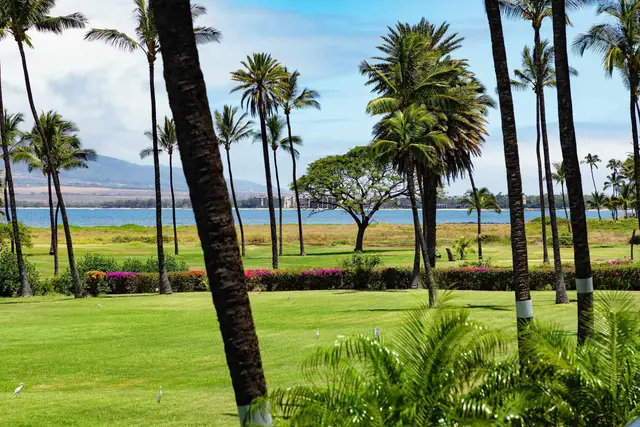 Listing Image for 940 S Kihei Rd D202 27 of 38