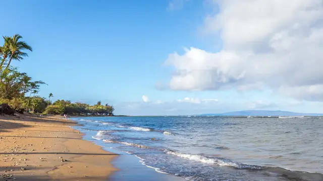Listing Image for 940 S Kihei Rd D202 36 of 38