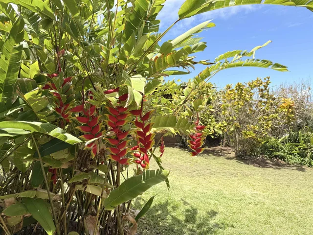 Listing Image for 219 Ekoa Pl 47 of 50