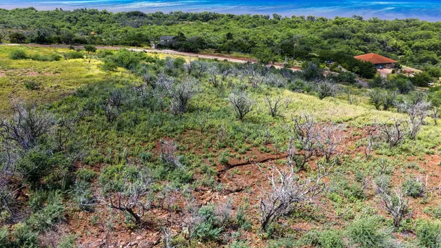 Listing Image for Onioni Dr 5 of 9
