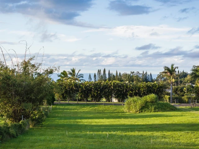 Listing Image for 65 Uakoko Pl 2 of 17