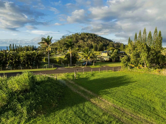 Listing Image for 65 Uakoko Pl 4 of 17