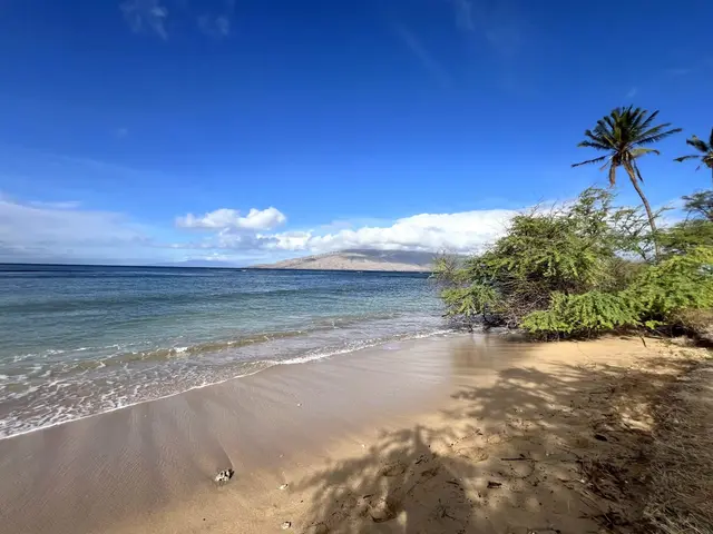 Listing Image for 998 S Kihei Rd 105 22 of 26