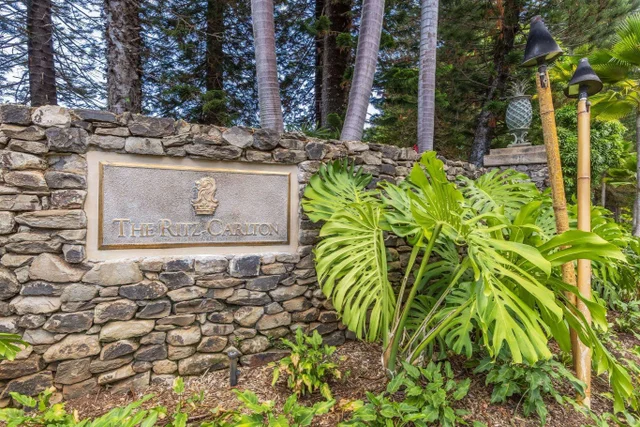 Listing Image for 1 Ritz Carlton Dr 1221-23 30 of 50