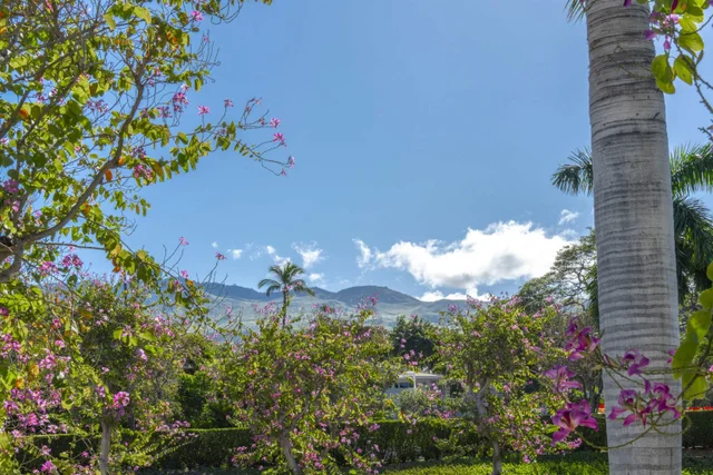 Listing Image for 3200 Wailea Alanui Dr 406 12 of 35