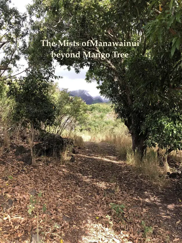 Listing Image for 0 Maua Rd 10 of 31