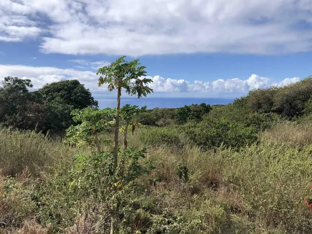 Listing Image for 0 Maua Rd 11 of 31