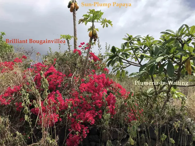 Listing Image for 0 Maua Rd 15 of 31
