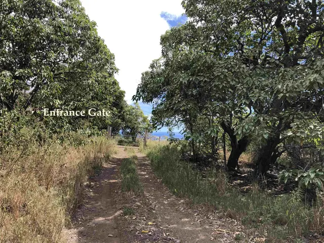Listing Image for 0 Maua Rd 19 of 31