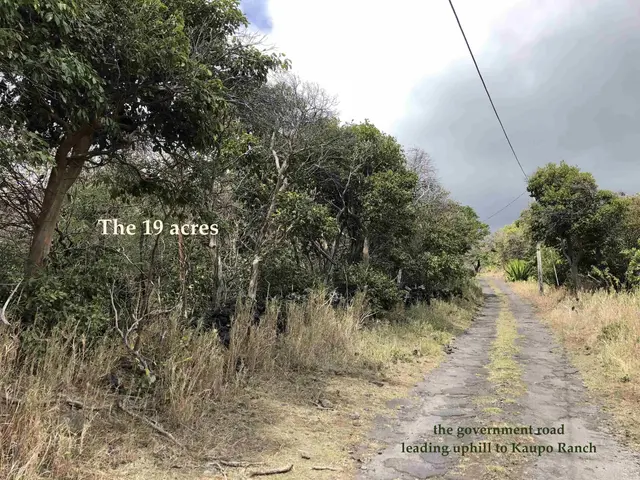 Listing Image for 0 Maua Rd 22 of 31