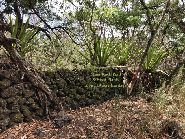 Listing Image for 0 Maua Rd 23 of 31