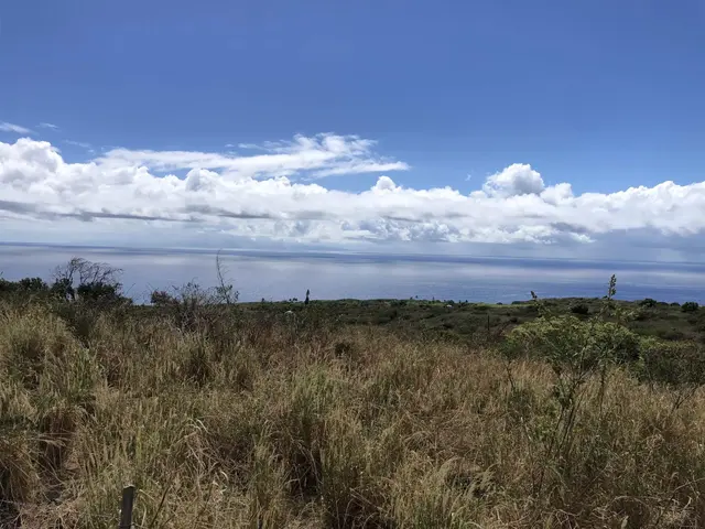 Listing Image for 0 Maua Rd 31 of 31